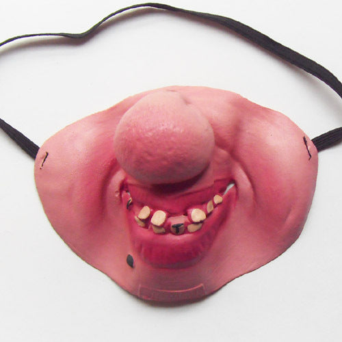 Pet Dog Funny Mask Mask