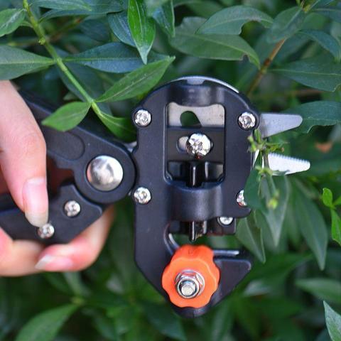 b20232ffed44001568d048cc02ffc84e