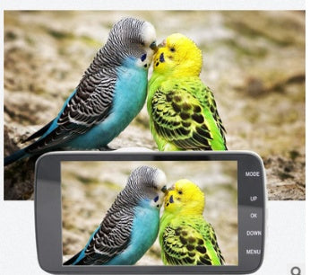 3d3c2bad68138d1cc9fb046d41db11c5