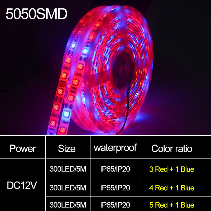 d9ac4938469e11851ab3a63d9a150831