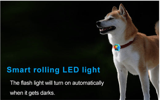Dog Pet Collar Anti Loss Locator