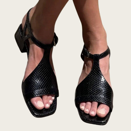 3d6cd0673579869a004481adf480f288