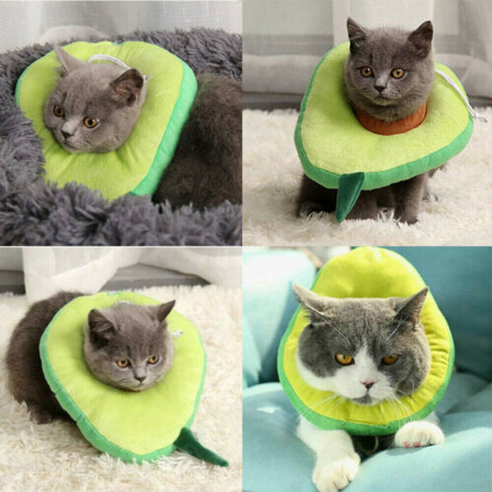 6d31fc0050b35a43cabe272c8dc79247