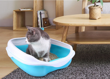 Semi Enclosed Cat Sized Thickened Splash Proof Toilet