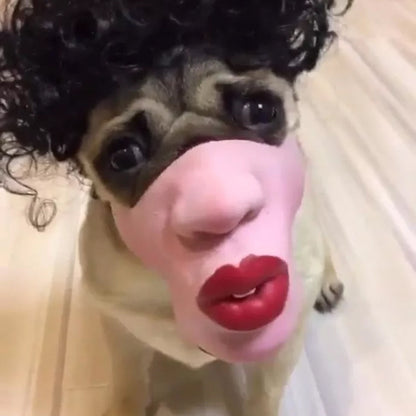 Pet Dog Funny Mask Mask