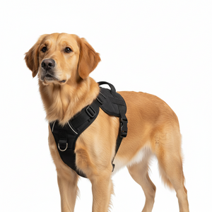 Pet Supplies